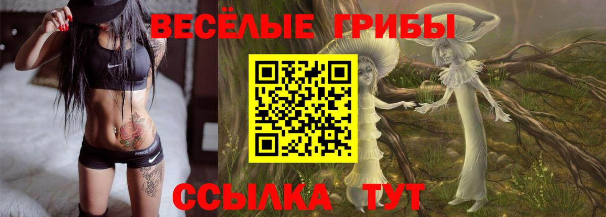 Галлюциногенные грибы мицелий  Вход с VPN  Галлюциногенные грибы мухоморы  Сызрань 